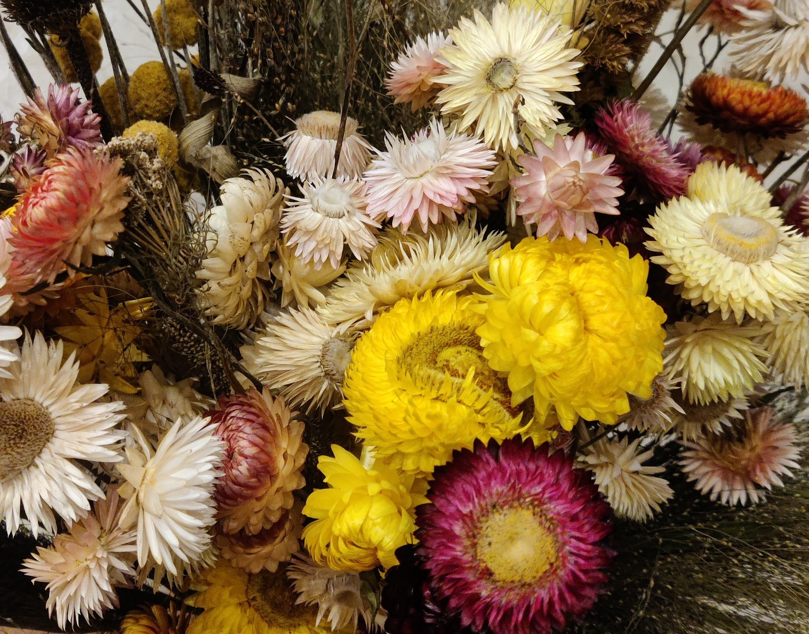 Darželinis šlamutis king size Formula Mix - Image 4