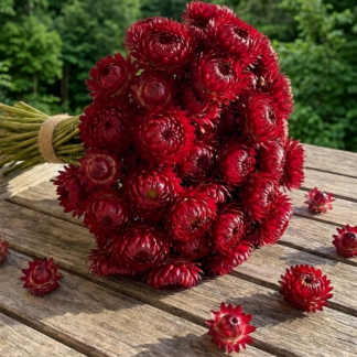 Darželinis šlamutis king size Red