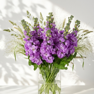 Pilkoji leukonija Mathilda Lavender