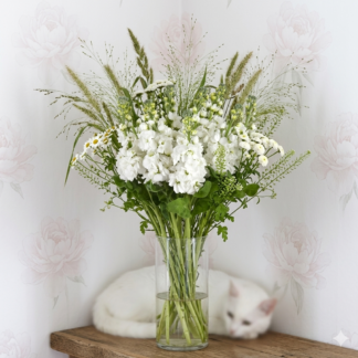 Pilkoji leukonija Mathilda White