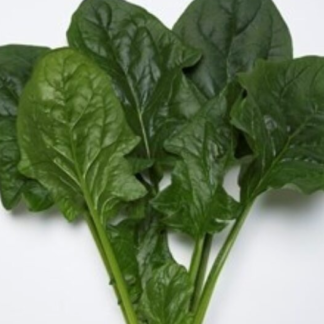 Rytietiški špinatai Nadia F1